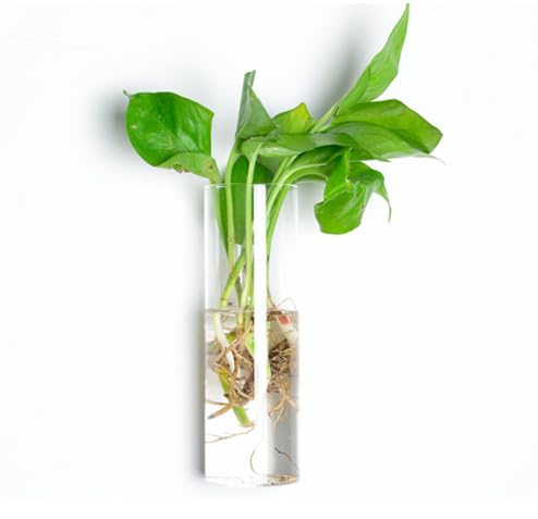 Wall Hanging Planter Propagation Stations Glass Tubes Flower Vase for Hydroponics Plants, Hanging Planters for Indoor Plants Bathroom, Home Office Living Room Decor Present