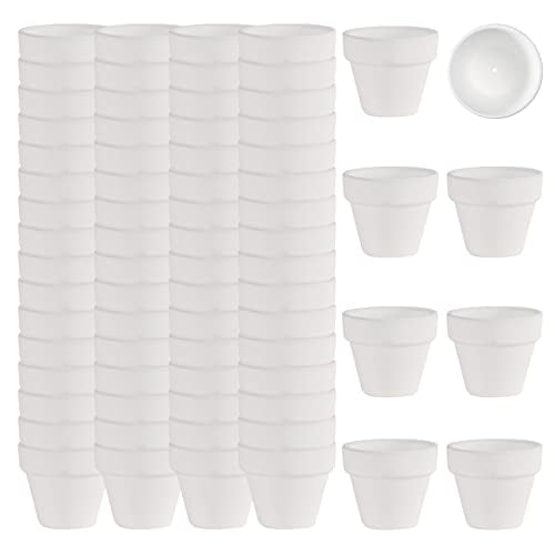 2 Inch White Terracotta Pots Pack of 72 - Mini Clay Pot with Drainage Hole for Tiny Cactus Herb lithop, Small Succulent Planter Nursery Plant Pot for Windowsill, Cactus Plant, Crafts, Wedding Favors - color: White