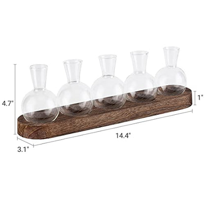 Mkono Plant Terrarium with Wooden Stand, Wall Hanging Glass Planter Desktop Plant Propagation Vase with Metal Swivel Retro Rack for Hydroponics Plants Home Office Decor