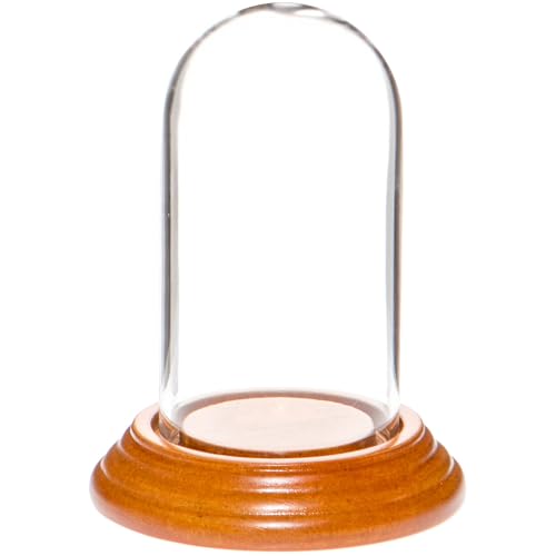 Plymor 1.85" x 3.5" Mini Glass Display Dome Cloche (Oak Veneer Base) - color: Oak Veneer Base