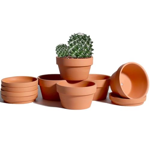 vensovo 5.7 Inch Terracotta Shallow Succulent Pot - 6 Pack Terra Cotta Clay Pots with Saucer, Cacuts Terra-Cotta Indoor and Outdoor Planters with Drainage Hole - color: Brown, size: 5.7 Inch
