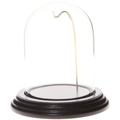 Plymor 3" x 4" Watch Glass Display Dome Cloche - color: Black Base / Gold Wire