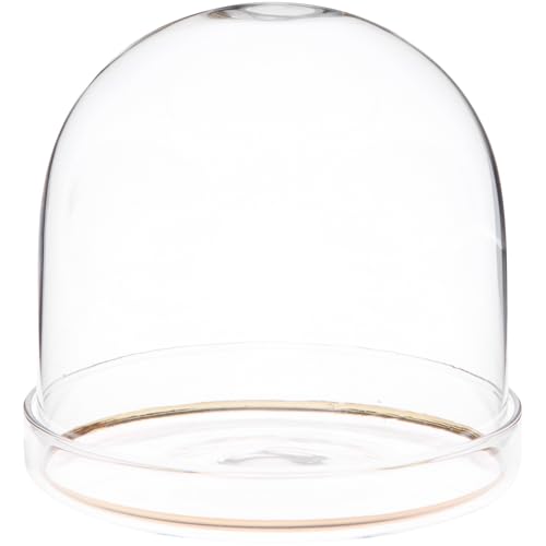 Plymor 4" x 4" Glass Display Dome Cloche with Gold Rim (Clear Glass Tray Base) - size: 4" x 4"