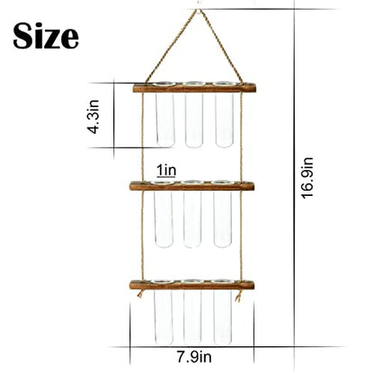 XXXFLOWER Plant Terrarium Propagation Station with Wooden Stand, Air Planter Glass Vase Home Indoor Office Decoration - 3 Bulb Vase + Test Tubes 3 Tiers