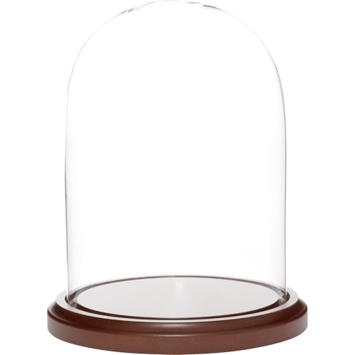Plymor 5.5 inch x 8 inch Glass Display Dome Cloche (Dark Wood Base) - color: Dark Wood Base