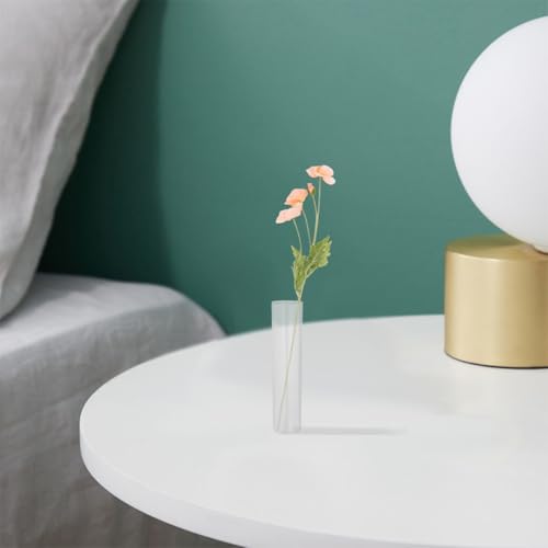 4pcs Glass Test Tubes for Plants Small Hydroponic Flower Vases Glass Propagation Tubes Desktop Plant Holders Home Décor