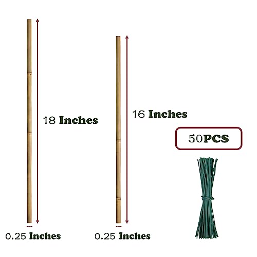 Plant Stakes 50Pcs 18IN,POLIUMB Premium Natural Bamboo Stakes Garden Stakes | Bamboo Sticks Support for Indoor and Outdoor Plants,Poles Sticks for Tomatoes, Beans,Flowers,Trees Potted and Climbing Plants - size: 18Inches