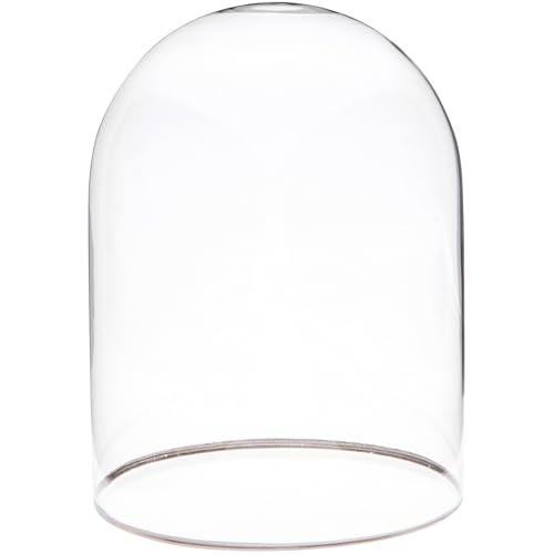 Plymor 4.5" x 6" Glass Display Dome Cloche with Silver Rim (no Base) - size: 4.5" x 6"