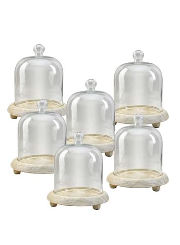 Serene Spaces Living Curio Glass Dome with Natural Wooden Base, Airplants, Flower, Accessories, Photos, Candles, Dessert Display, Home, Office Decor, Gift Idea - 8" Diameter & 9.25" Tall, Pack of 6 - color: Large, Pack of 6