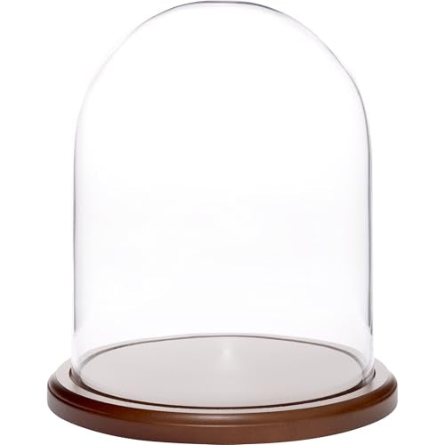Plymor 8 inch x 10.25 inch Glass Display Dome Cloche (Dark Wood Base) - color: Dark Wood Base