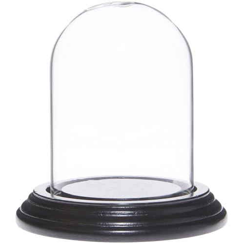 Plymor 2.5" x 3.5" Small Glass Display Dome Cloche (Black Wood Veneer Base) - color: Black Wood Veneer Base