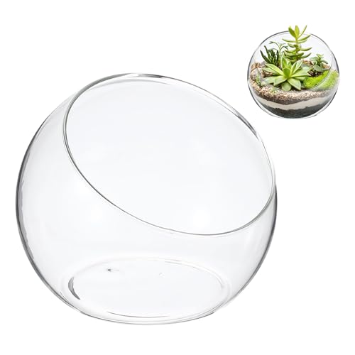 M METERXITY 1-Pack Clear Glass Air Plant Terrarium, 4.1 Inch Wide Mouth Angled Plant Display Glass for Windowsill/Outdoor Garden/Home Decor, Flat Bottom Globe Bowl Terrarium [Transparent] - size: 4.1 Inch