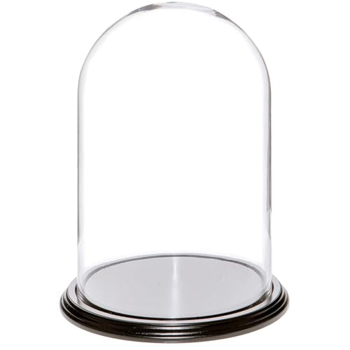 Plymor 8" x 12" Glass Display Dome Cloche (Black Wood Veneer Base) - color: Black Wood Veneer Base