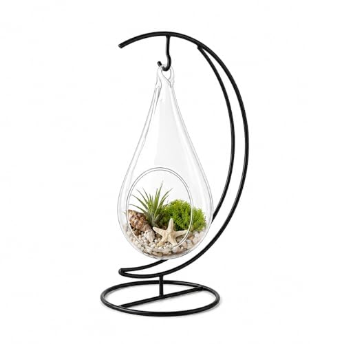Creations by Nathalie Glass Terrarium: Air Plant & Succulent Holder, DIY Kit Vase (Teardrop Glass with Stand)