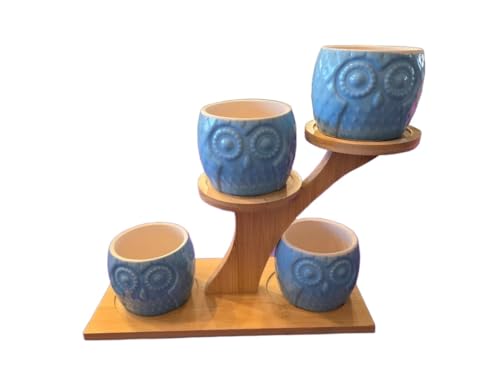 Blisse Wood Owl Planter Set for Home Décor - Blue Ceramic Owl Pots with Wooden Stand, Cute Indoor Succulent & Tabletop Planters for Shelves, Windowsills & Gifts - color: Blue