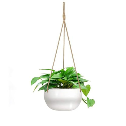 Ceramic Hanging Planters for Indoor Outdoor Plants,8 in Modern Plant Pot Round Porcelain Hanger Basket with Rope Hanging Plant Holder Drainage Flower Pot for Herbs Ferns Ivy Pothos,White