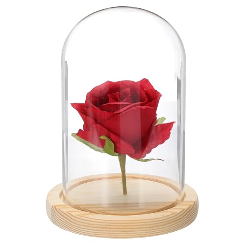 uxcell Glass Cloche Display Dome, 6.2" x 3.9" Glass Dome Display Case Wood Base Tabletop Jar Case Decorative Bell Jar for Plant Home Decor Office Wedding Party, Natural - size: 6.2" x 3.9"