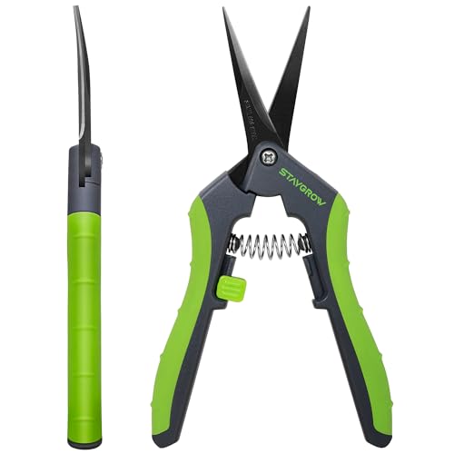 6.5" Pruning Shears for Gardening, Sharp Plant Trimming Scissors - size: 6.5" Curved*2