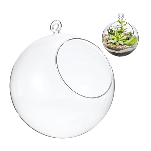 M METERXITY 1-Pack Clear Glass Air Plant Terrarium, 3.6 Inch Angled with Handle Plant Display Glass for Windowsill/Outdoor Garden/Home Decor, Flat Bottom Globe Bowl Terrarium [Transparent] - size: 3.6 Inch