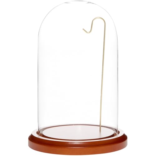 Plymor 4" x 7" Watch/Ornament Glass Display Dome - color: Walnut Mdf Base