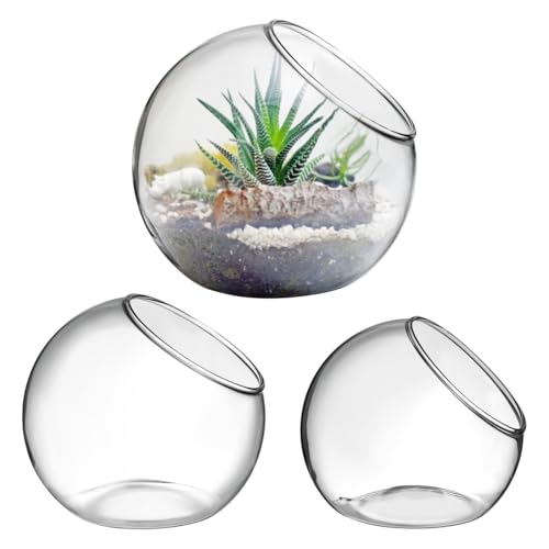 VANZACK Glass Air Plant Bowls, 3-Piece Graduated Set | Three Clear Round Glass Bowls with Beveled Openings, Reported in 8, 10, and 12 cm Sizes for Air Plants or Small Displays