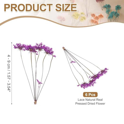 MECCANIXITY 6 Pcs Natural Dried Pressed Flowers for Craft, Lace Real Pressed Dried Flowers Colorful Bouquets for Resin Moulds DIY Scrapbooking Candle Jewelry Making, Purple - color: Purple