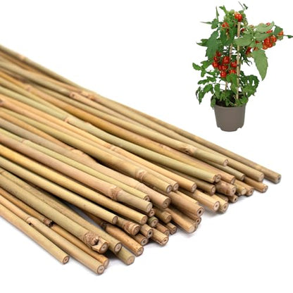 Plant Stakes 50Pcs 18IN,POLIUMB Premium Natural Bamboo Stakes Garden Stakes | Bamboo Sticks Support for Indoor and Outdoor Plants,Poles Sticks for Tomatoes, Beans,Flowers,Trees Potted and Climbing Plants - size: 18Inches