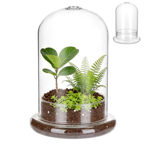 Cloche Glass Dome with Base & Ventilation Hole Plant Terrarium | 8.3"x5.9" Clear Glass Terrariums for Plants DIY Flower Gifts Home Decoration Tabletop Display Centerpiece