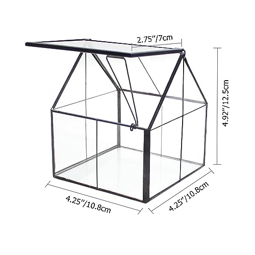 NCYP Glass Terrarium - Mini House Shape Terrarium with Lid, and House Shape Terrarium with Acrylic Lid, for Small Succulent Cacti, Ferns, Home Garden Decor