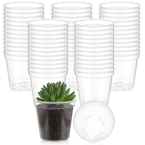 Yaomiao 30 Pcs 4 Inch Clear Mini Nursery Pots with Drainage Holes - color: Clear, size: 4 Inch