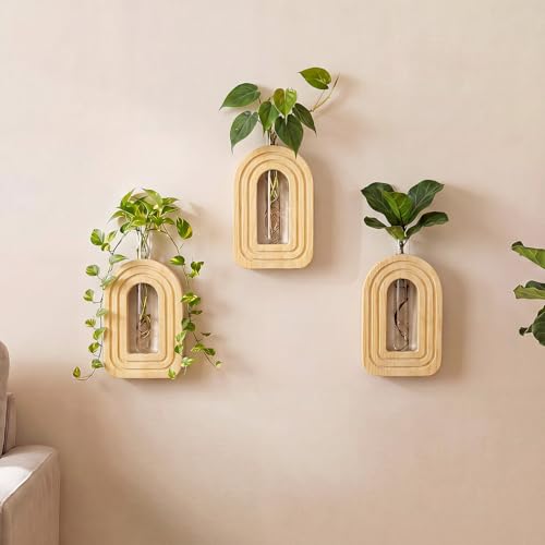 Capoda 3 Pack Wood Wall Planter Arch Propagation Station Wooden Hanging Vase with Glass Tube Boho Rustic Farmhouse Wall Decoration for Indoor Living Room Bedroom Bathroom(Natural Wood) - color: Natural Wood