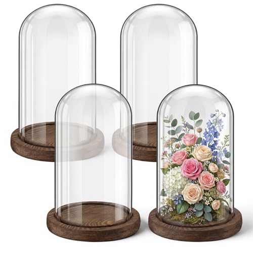 Suclain 4Pc Glass Dome Cloche with Wood Base, Brown, 6.7" X 3.8" - color: Brown, size: 6.7" X 3.8"