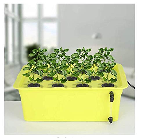 SUCOHANS 50 PCS Cloning Collars Inserts Premium Grade Foam | Fits 2'' Net Cups Cloner Collars for Hydroponics Plant Germination in DIY Cloner & Clone Machines (Black) - size: 50