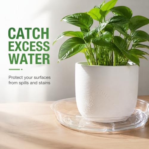 Kingrol 40 Pack Plant Saucers for Pots, 4 Sizes Plant Drip Trays (6/8/10/12 Inch), Lightweight Flexible PET Plant Pot Saucer for Indoor Outdoor Plants, Clear Flower Pot Tray