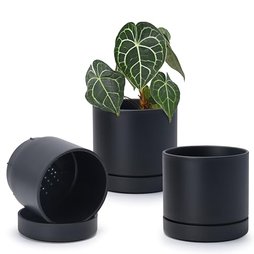 Phoenix Vine 6 Inch Planter Pot with Drainage Hole & Saucer, Deep Water Catch Tray, Straight Cylindrical Round Pot for Plants, Matte Black, Pack of 3, 23-C-S-3 - color: Matte Black, size: 6" (3 Pack)