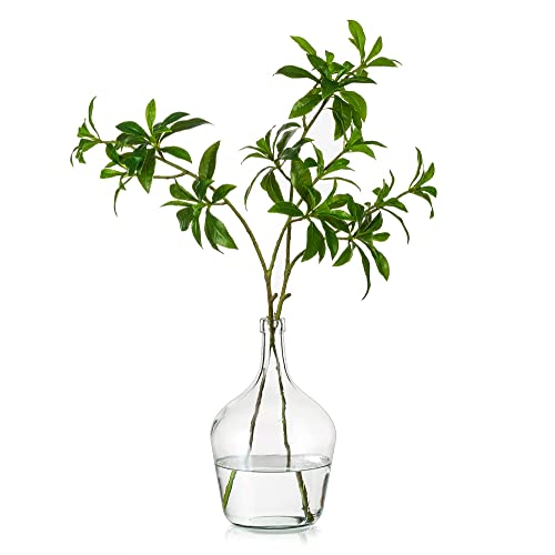 Hewory Large Glass Vase for Decor, 10in Clear Tall Farmhouse Decorative Floor Vase, Round Bubble Balloon Glass Jug for Coffee Table Fireplace Mantel Entryway Living Room Bedroom Kitchen - size: 10in