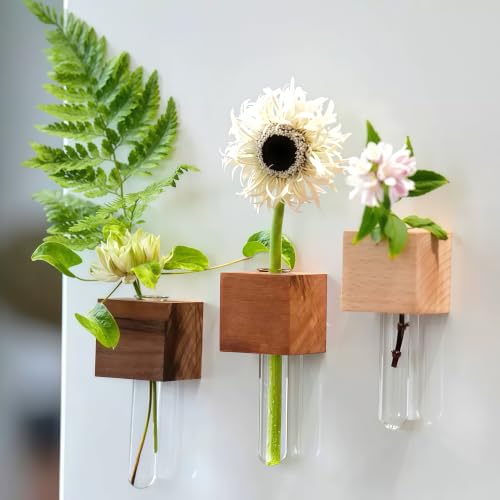 3PCS Mini Plant Propagation Station Set - for Window, Fridge, Wall, Office, Kitchen Decor, Home Plant Display,Inculd Glass Test Tube Vases Magnet and Adhesive Backed Wooden Holders