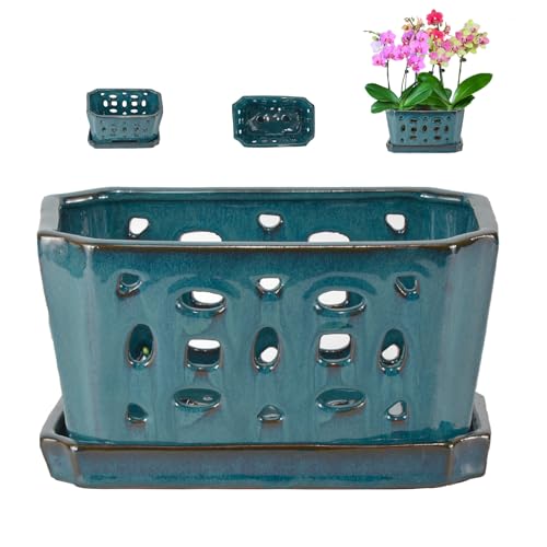 W&W Orchid Pot with Holes and Saucer for Repotting, Teal, 9.7 Inches - color: Teal 9.7", size: 9.7"