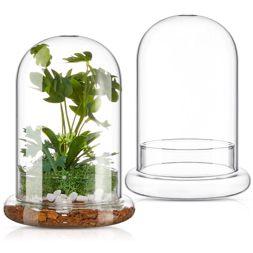 2 Pcs 5.9 x 7.9 Inch Glass Terrarium Dome Cloche with Air Hole & Glass Base, Clear Terrarium Containers Ventilated Plant Humidity Dome for Carnivorous Plants Orchids Tropical Cuttings, No Leakage - size: 5.9 x 7.9 Inch