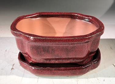 Bonsai Boy L371a 6 x 4.5 x 2.5 in. Ceramic Bonsai Pot with Humidity Drip Tray Parisian Red - Rectangle