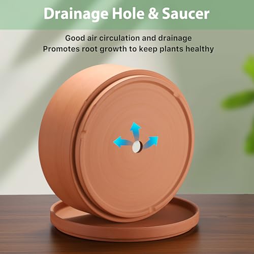 JUXYES 10 Inch Shallow Terracotta Pots with Holes and Saucers for Succulent | Built-in Drainage Hole, Wide Shallow Planter Clay Flower Pots for Indoor & Outdoor, Planter for Succulent, Cacti, Bonsai - size: 10 Inches