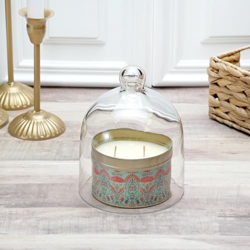 Plymor 5" x 6" Bell Jar Glass Display Dome Cloche (Interior Size 4.75" x 4.5") - size: 5" x 6"