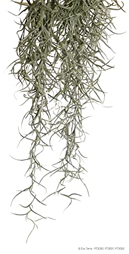 Josh's Frogs Sprig & Stone Spanish Moss (1 Quart)