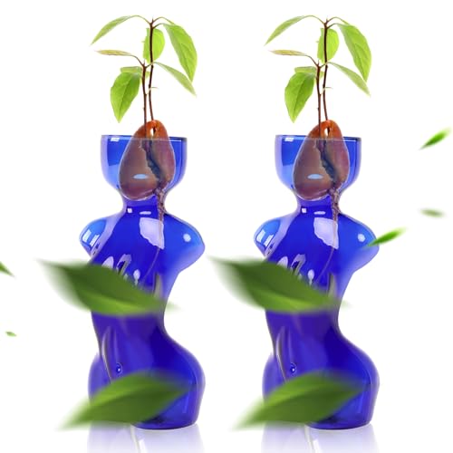 Plant Propagation Jars Unique Body Avocado Vase - color: Blue
