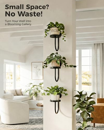 Bamworld Wall Plant Holder for Hanging Planters, Black, 3pcs