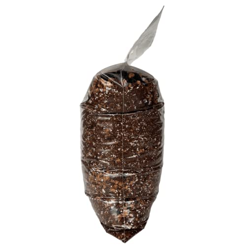 rePotme Peace Lily Imperial Houseplant Soil - Mini Bag (2 Quarts) - color: Peace Lily, size: Mini Bag - 2 Quarts