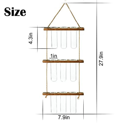 XXXFLOWER Wall Hanging Propagation Station with Wooden Stand Glass Test Tubes+3 Bulb Glass Propagation Station