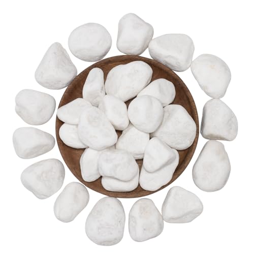 White Natural River Rocks, 1.5-2.5 Inch Decorative Stones for Plants, Garden, and Landscaping – 40LB, Ideal for Fish Tanks, Vases, Crafting, Home Decor, and Outdoor Landscaping - color: 1.5-2.5 inch, size: 40lbs