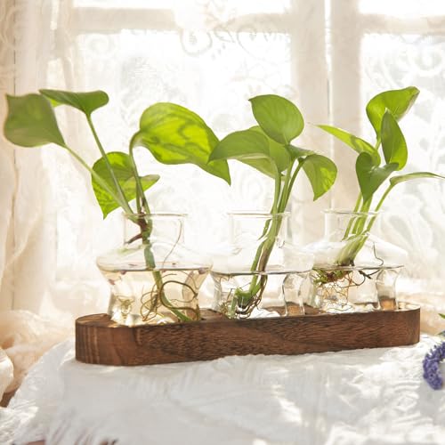 XXXFLOWER Plant Propagation Station with Wooden Stand+Wall Hanging Propagation Station