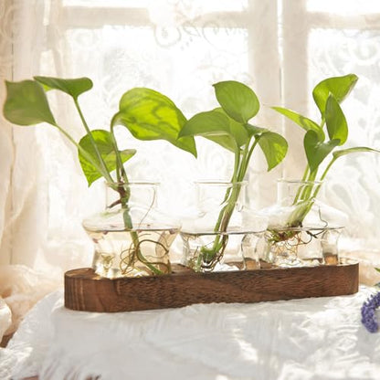 XXXFLOWER Plant Propagation Station with Wooden Stand+Wall Hanging Propagation Station
